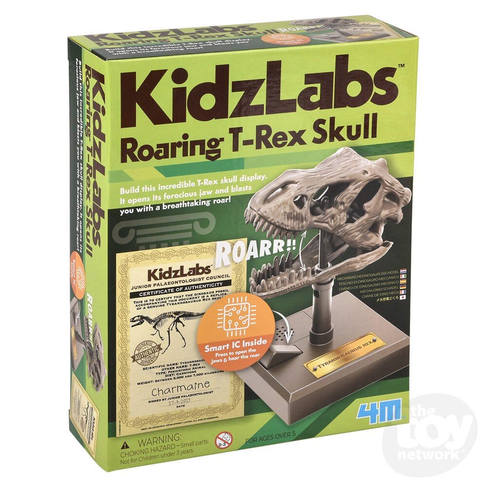 KidzLabs /Dino Skull