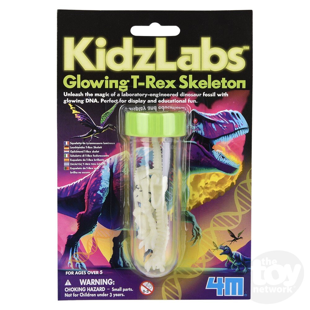 Kidzlabs/Glowing T-Rex Skeleton