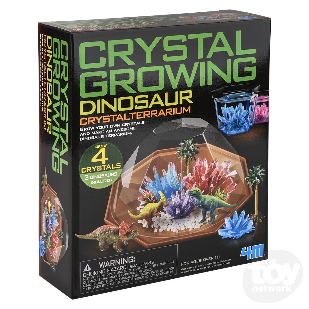 Crystal Growing/Dino Crystal Terrarium